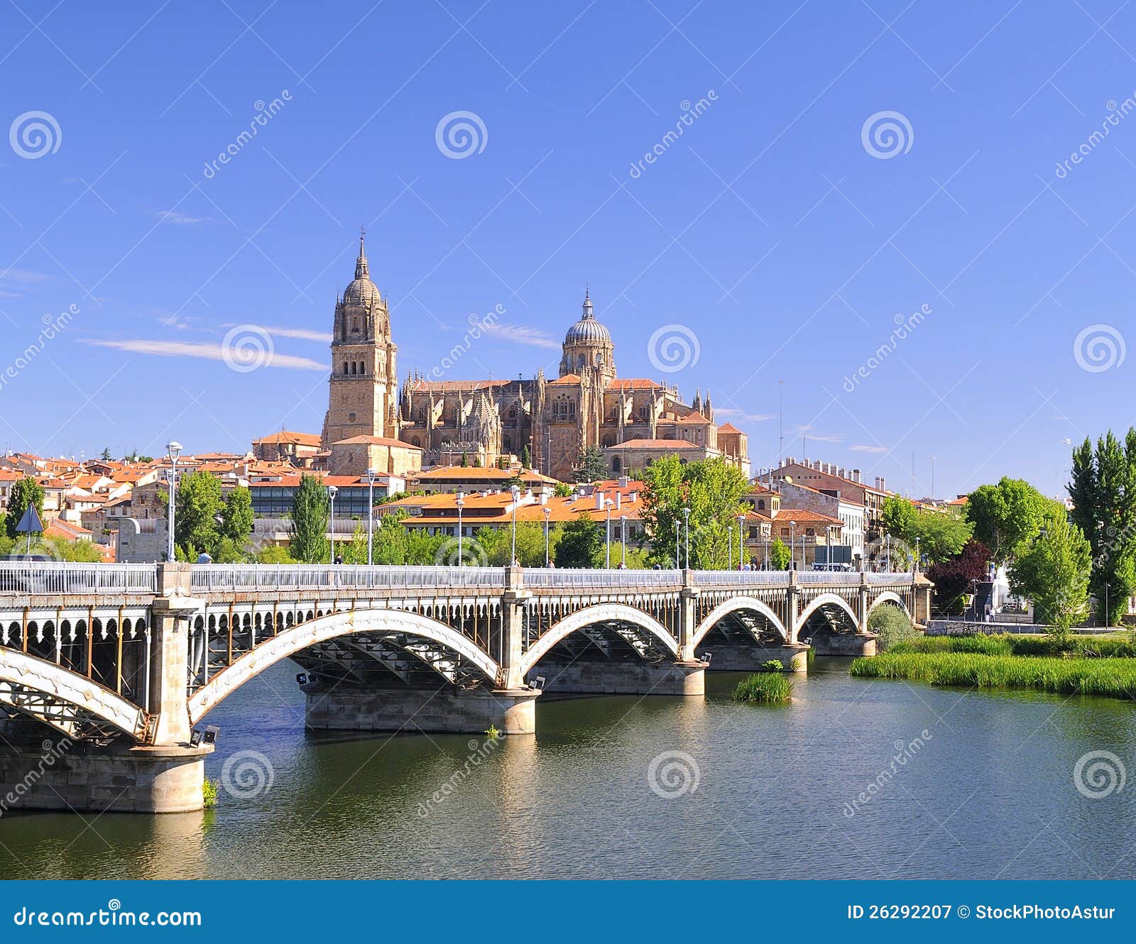 salamanca cathedral.