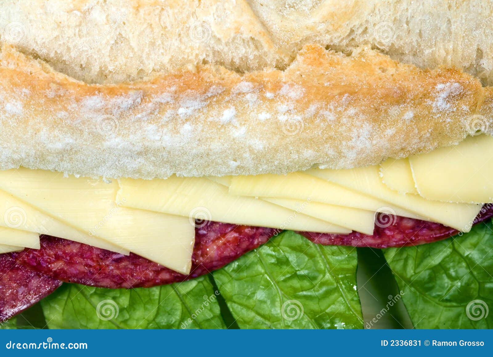 Salami Sandwich stock image. Image of pickle, submarine 2336831