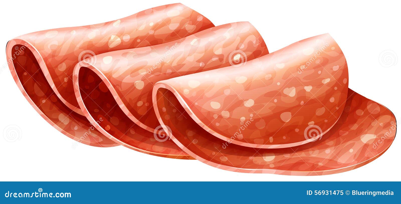 Salami stock vector. Illustration of food, cuisine, drawing 56931475