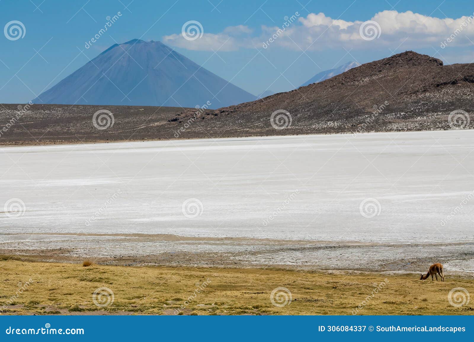 salar on south america altiplano, reserva natural de salinas y aguada blanca