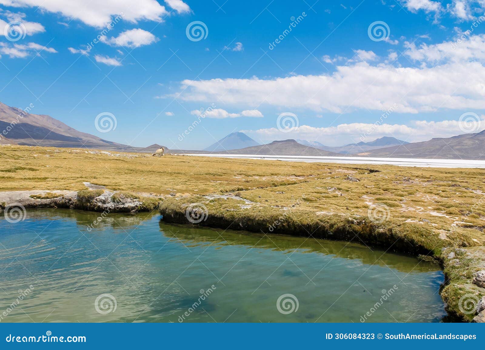 salar on south america altiplano, reserva natural de salinas y aguada blanca