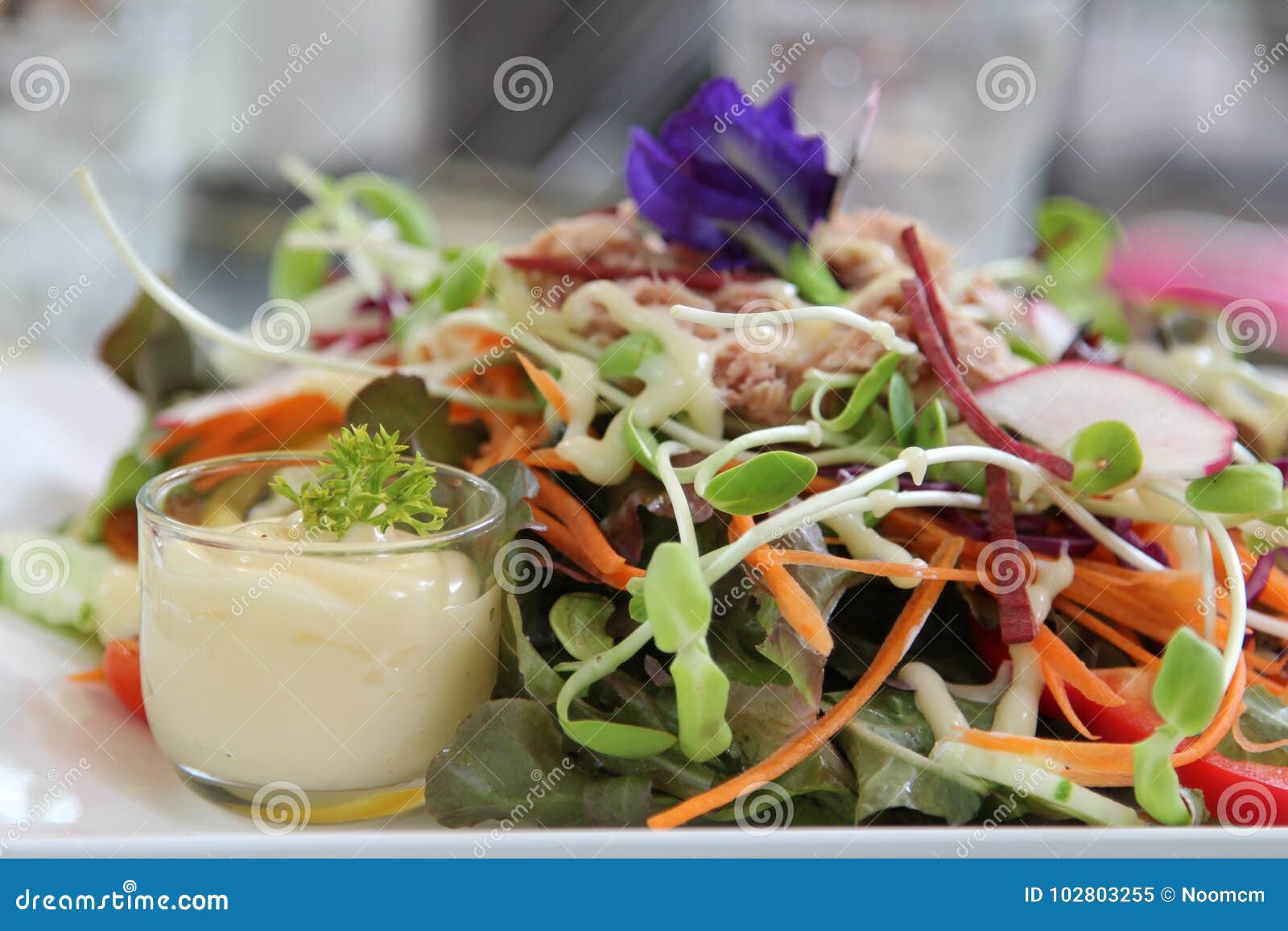 Salat stockbild. Bild von erbse, blatt, gesund, rettich - 102803255