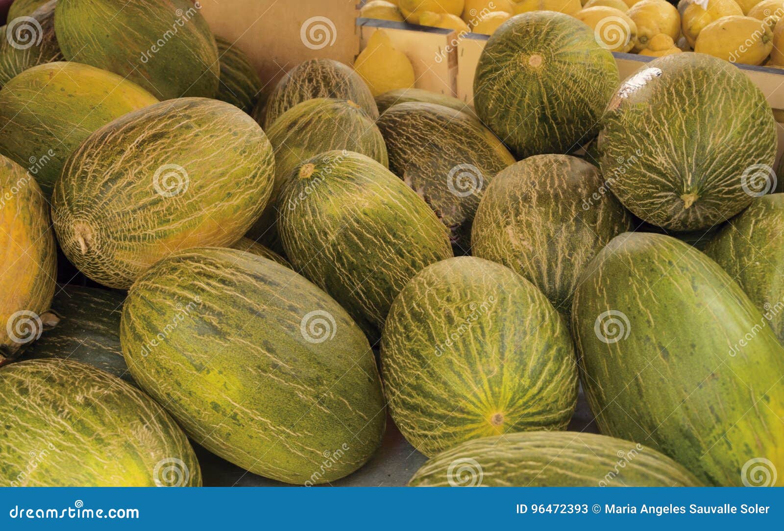 Sale of melons. stock image. Image of fruit, pick, traditional 96472393