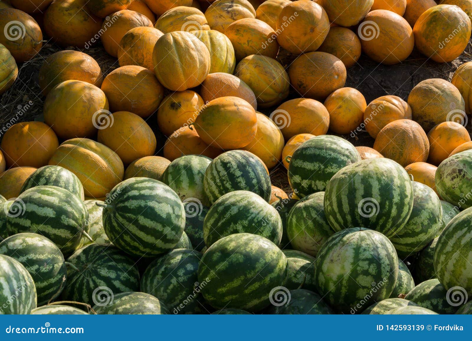 sale of watermelon and melon.