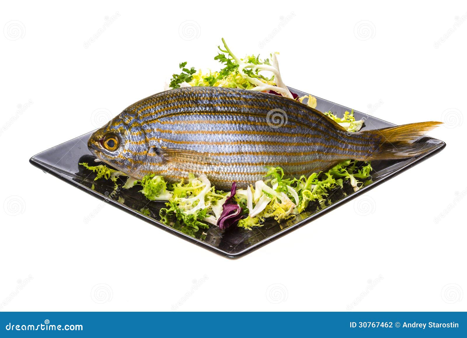 Salema porgy - sarpa fish stock photo. Image of market - 30767462