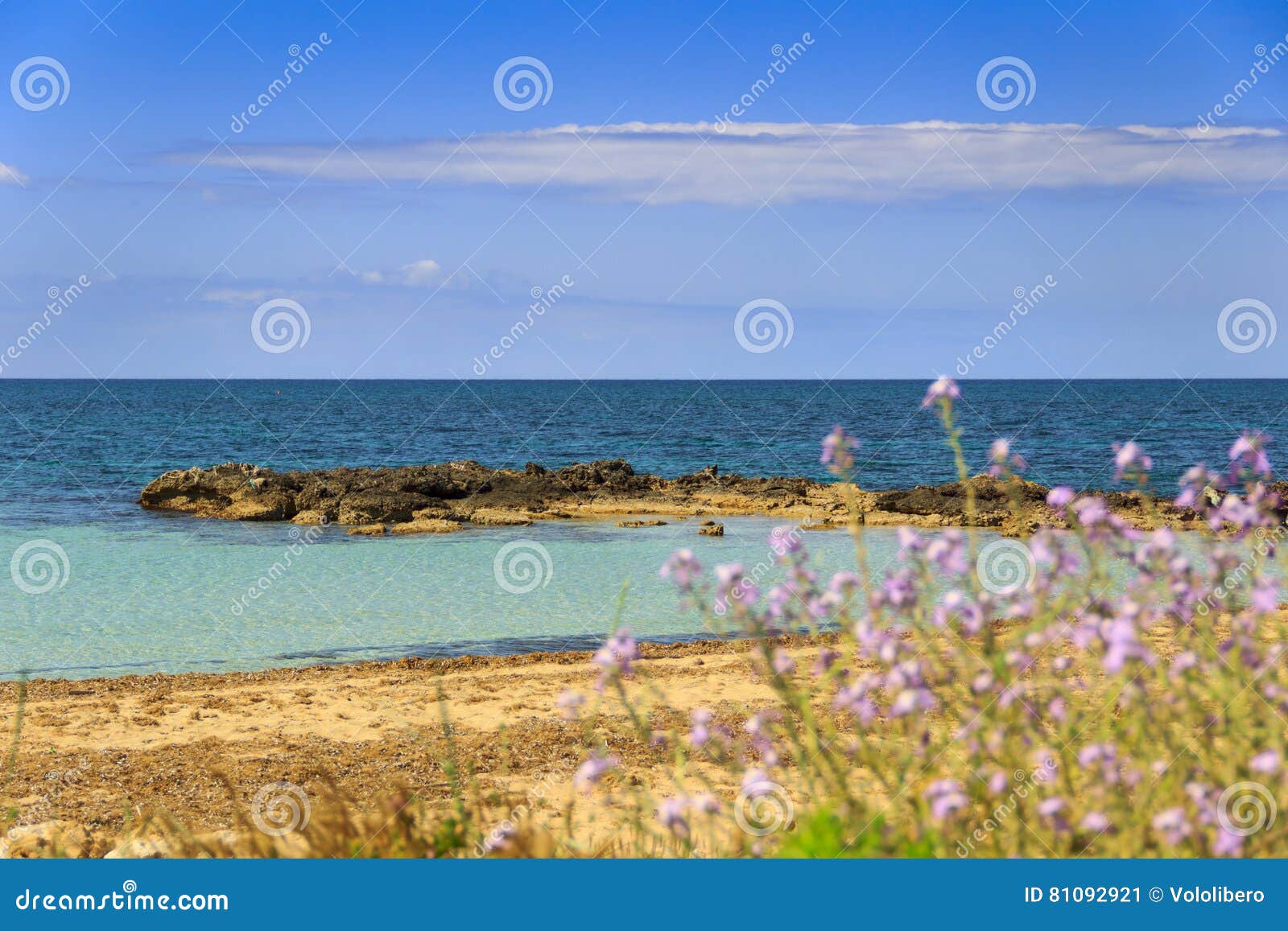Salento:typical Beach with Sandy Coves and Cliffs. ITALY, Apulia. Stock  Image - Image of lecce, purple: 81092921