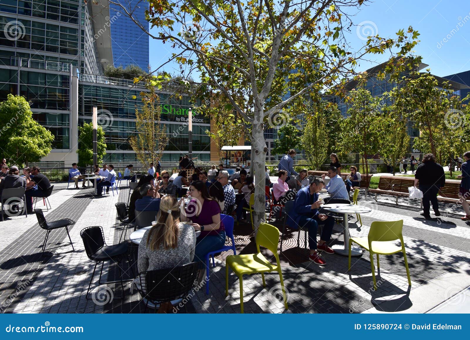 salesforce park open salesforce park open