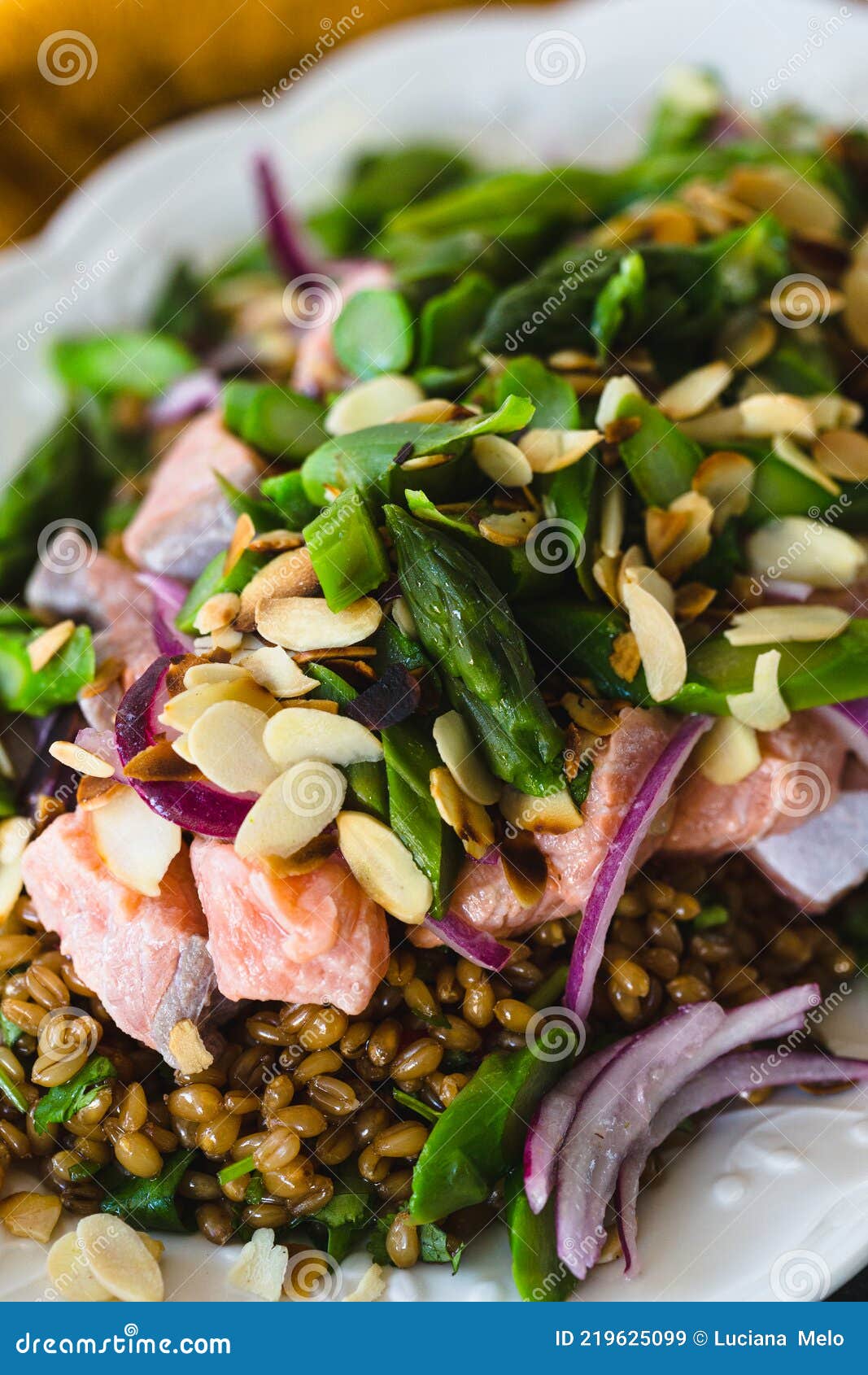 Salmon Barley Salad with Asparagus Stock Image Image of healthy
