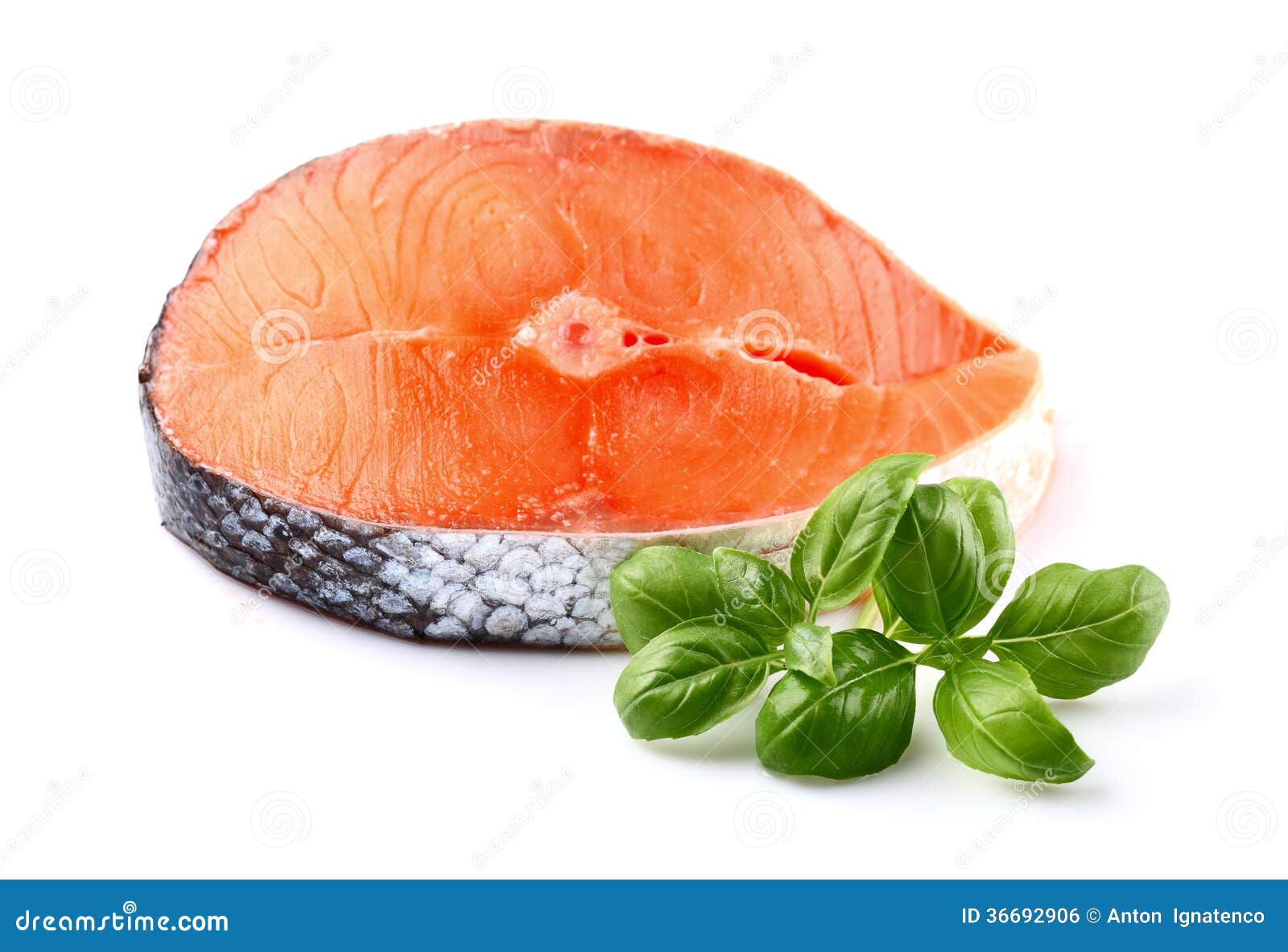 Salmon with basil stock photo. Image of freshness, green 36692906