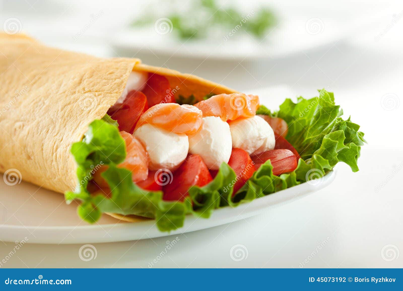 Salmon Burrito stock photo. Image of burrito, burritos 45073192