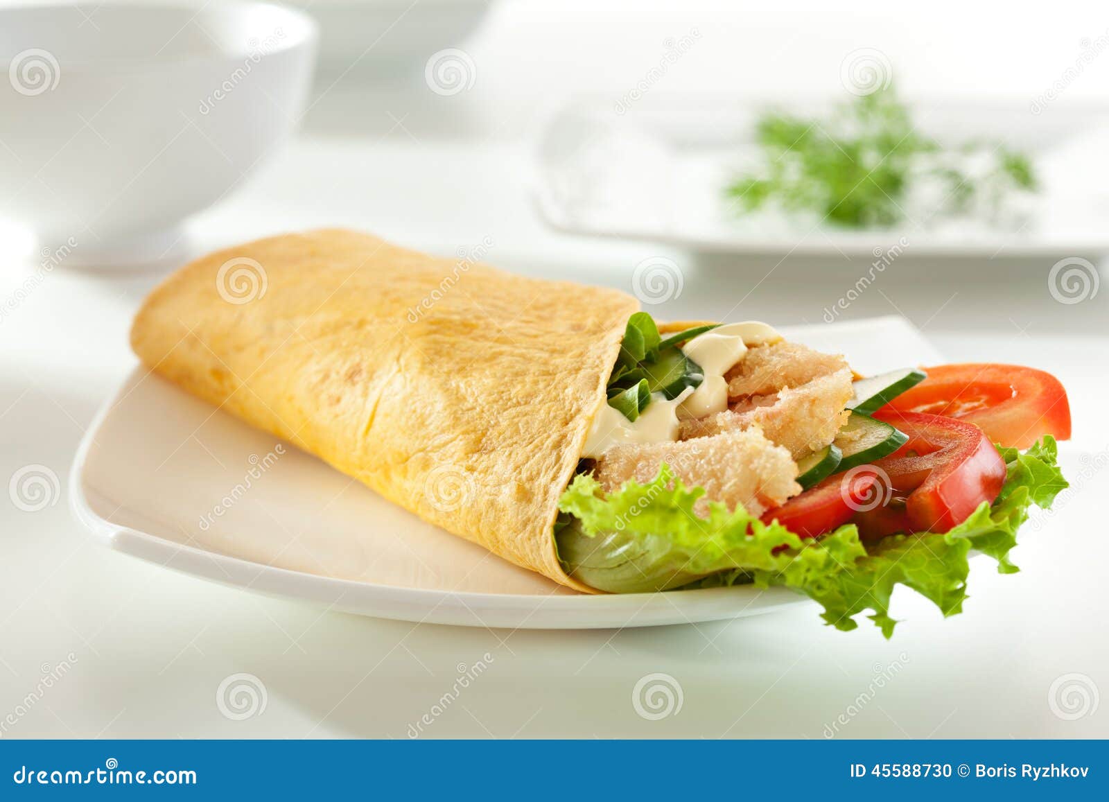 Salmon Burrito stock photo. Image of fast, food, burritos 45588730