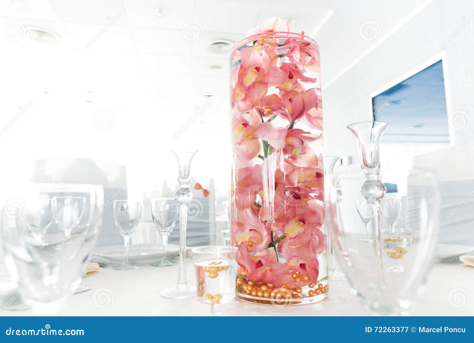 Salmon Colored (light Pink) Orchids in a Water Glass Decorate on Stock Image Image of