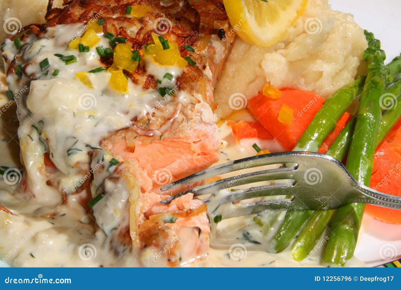 Salmon dinner plate stock photo. Image of carrot, nature 12256796