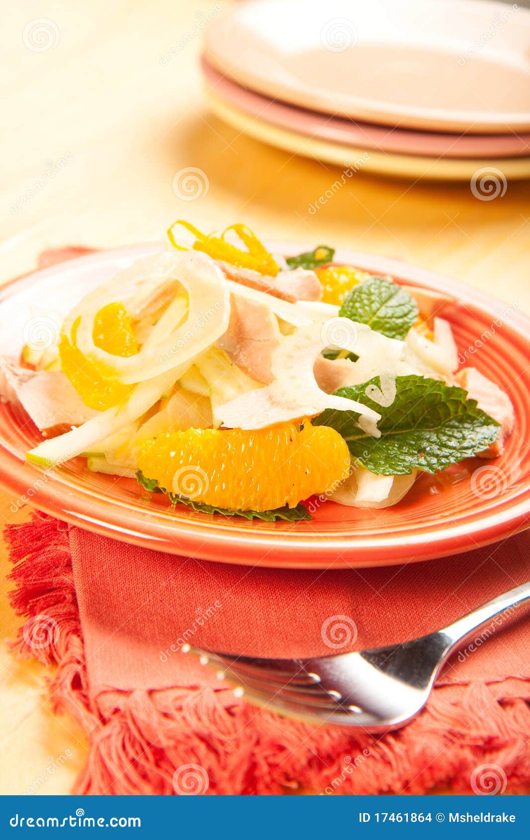 Salmon Fennel and Orange Salad Stock Photo Image of plate, apple