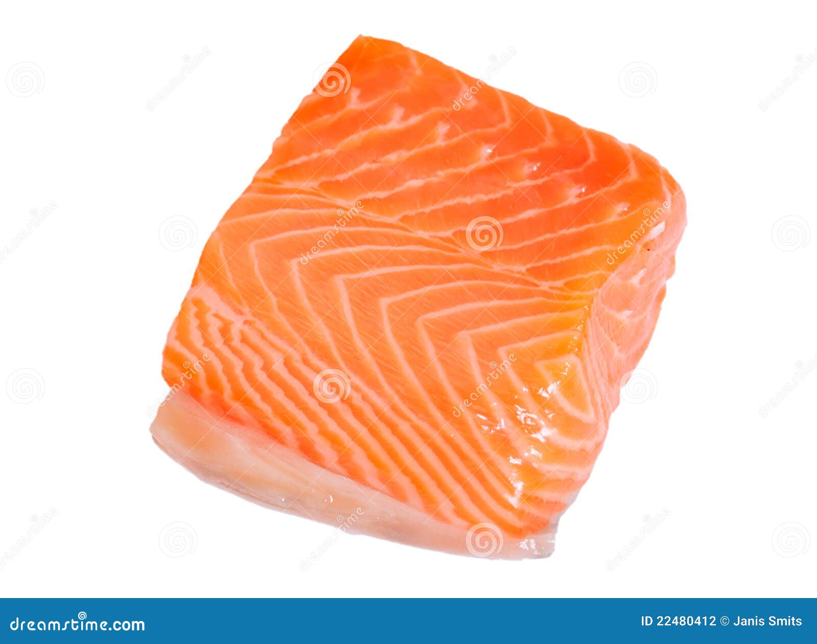 Salmon fillet. stock photo. Image of shot, studio, portion - 22480412