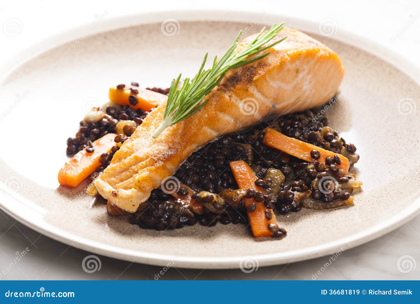 Salmon Fillet stock afbeelding. Image of geroosterd, sluit - 36681819