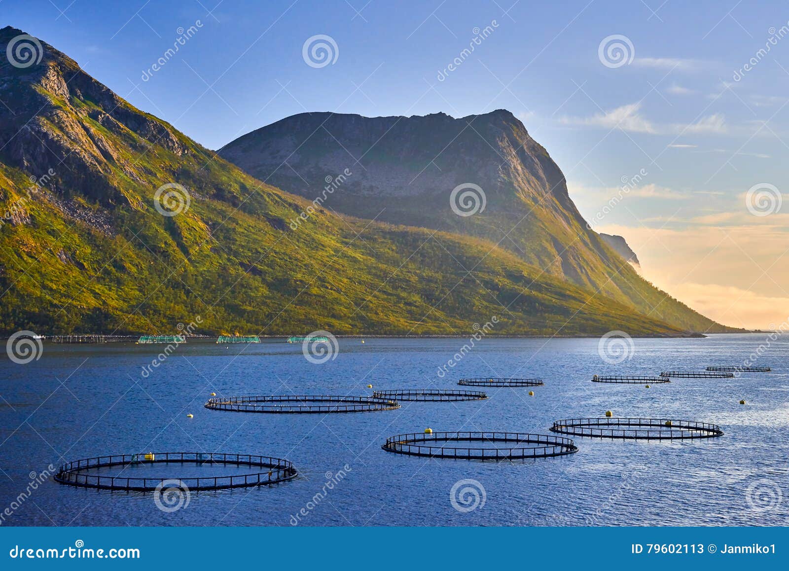 Salmon Fish Farm in Northern Norway Stock Image Image of boat, clodly