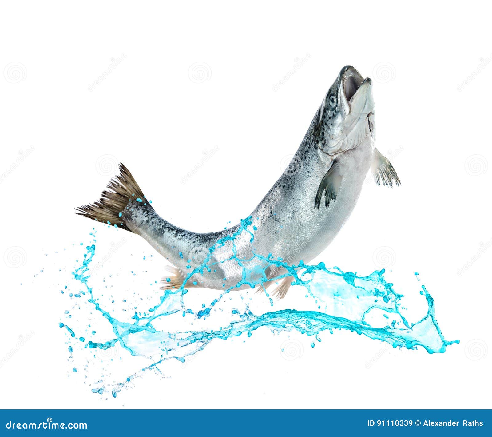 My Image 23