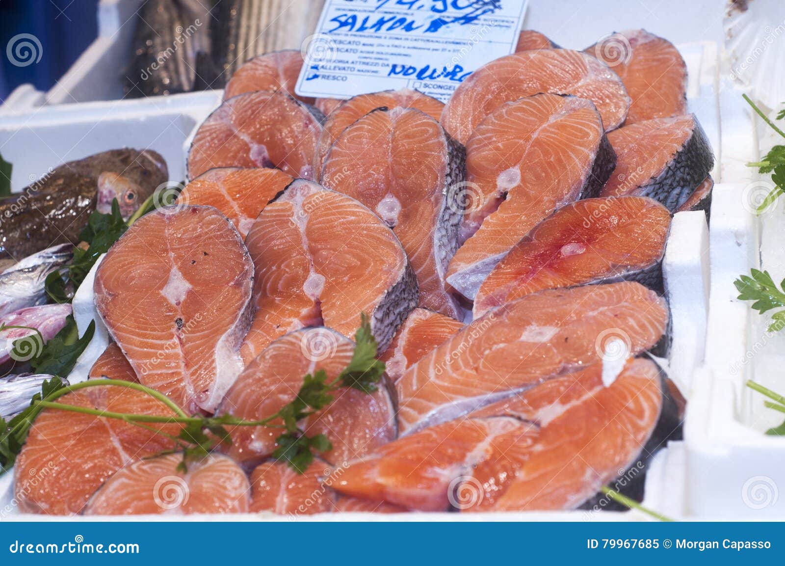 Salmon in fish market stock image. Image of stack, fresh 79967685