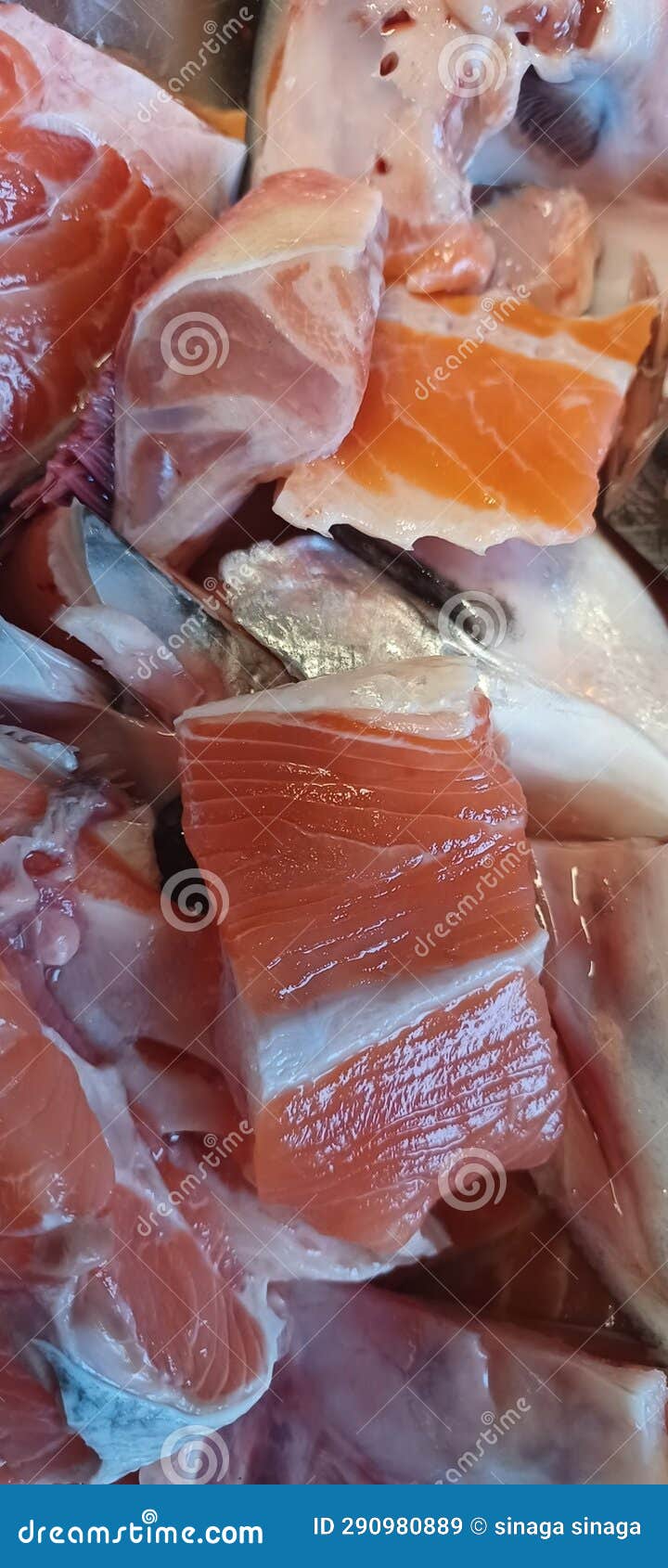 Salmon Fish Slice Food Natural Stock Image Image of food, natural