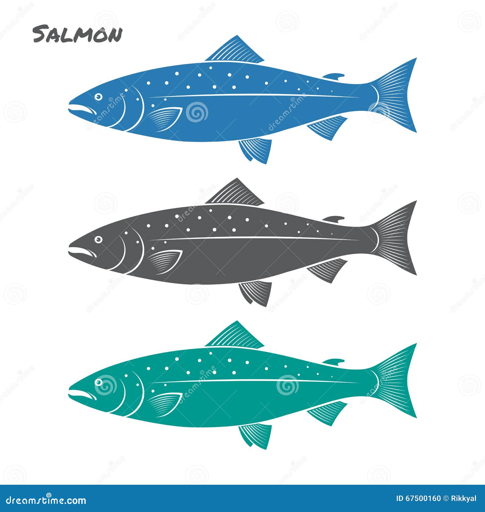 Salmon Fish Vector Illustration Stock Vector Illustration of marine