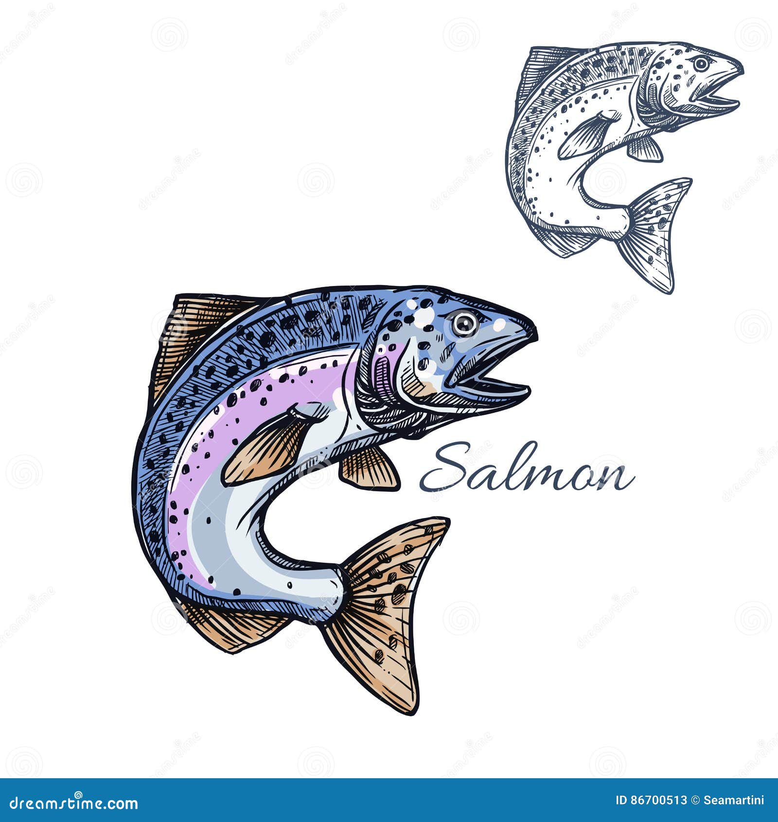 Salmon Icon Stock Illustrations – 63,647 Salmon Icon Stock Illustrations,  Vectors & Clipart - Dreamstime