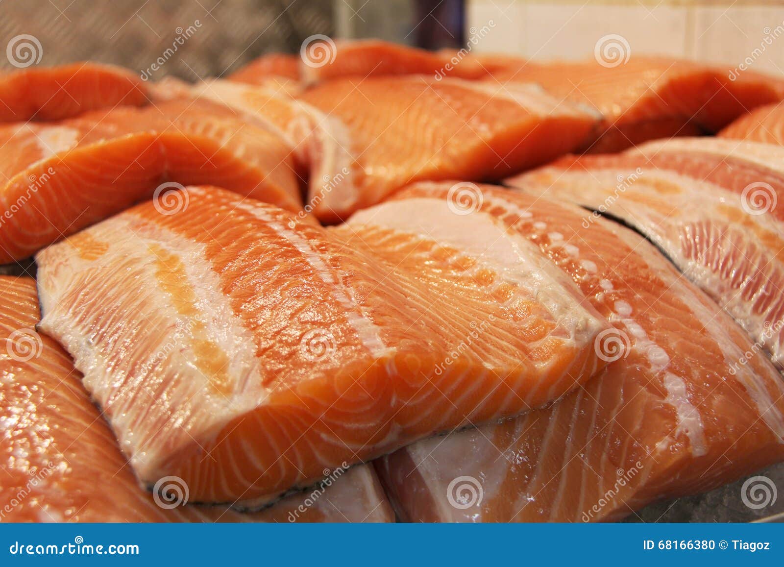 Salmon stock photo. Image of fresh, delicious, salmon 68166380