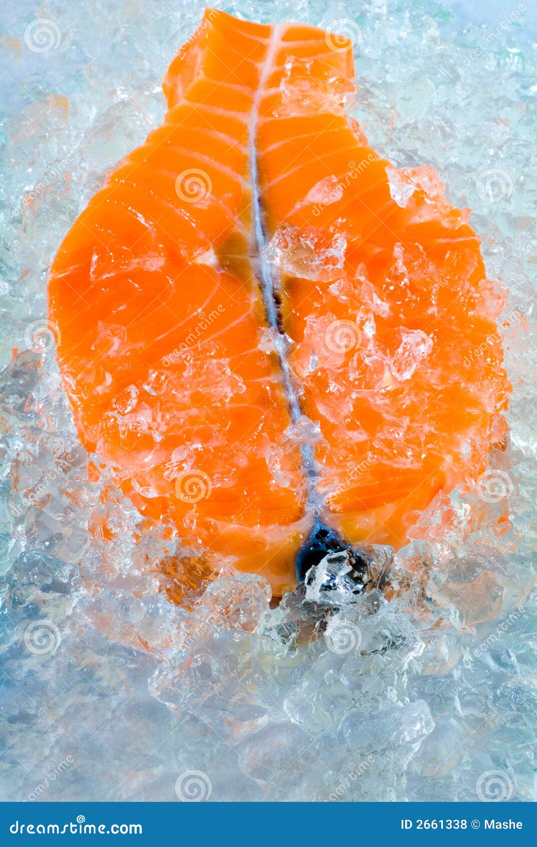 Salmon in ice stock photo. Image of presentation, chinook 2661338