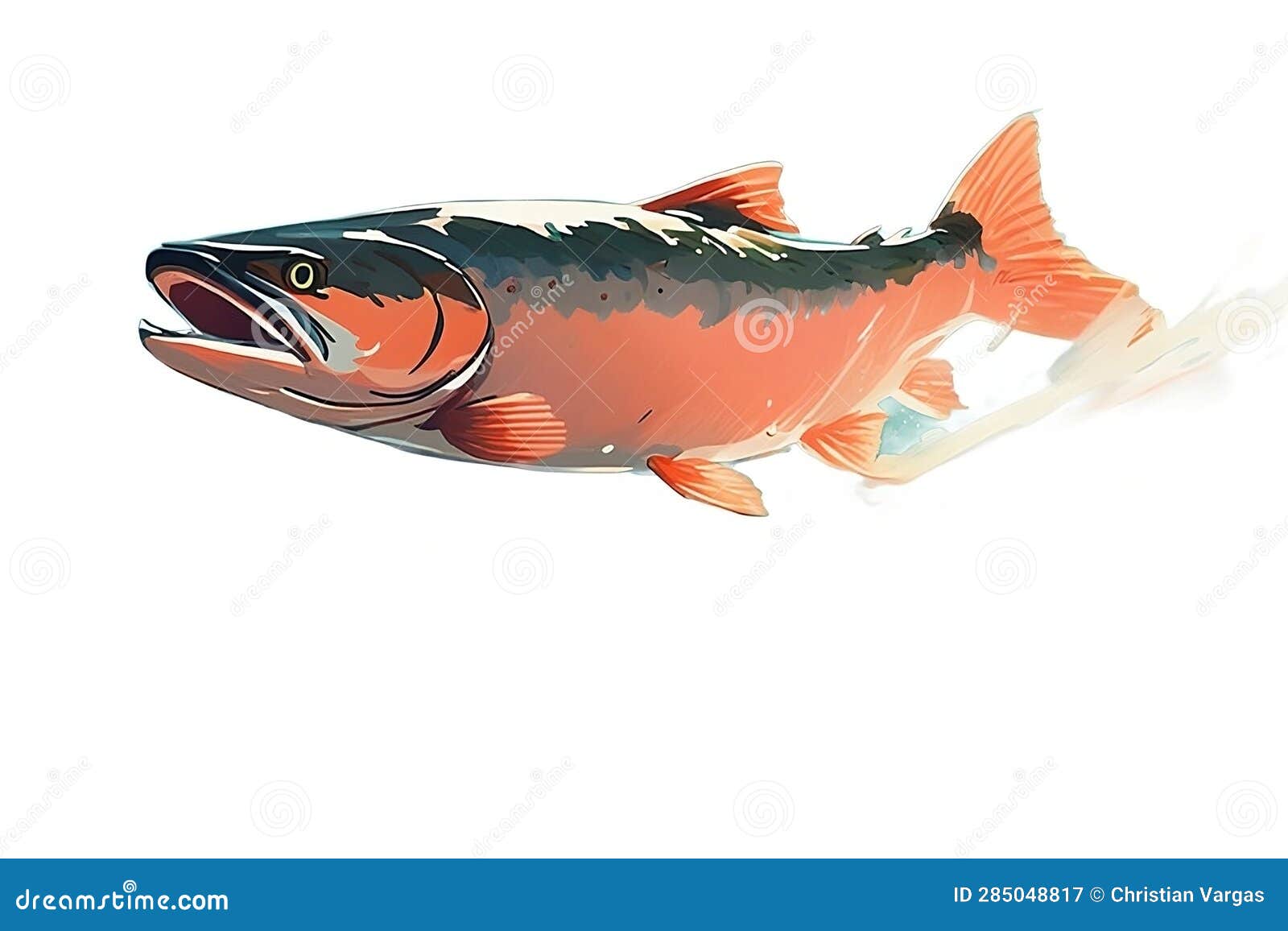 Salmon Jumping Out of Water Stock Illustration Illustration of ready