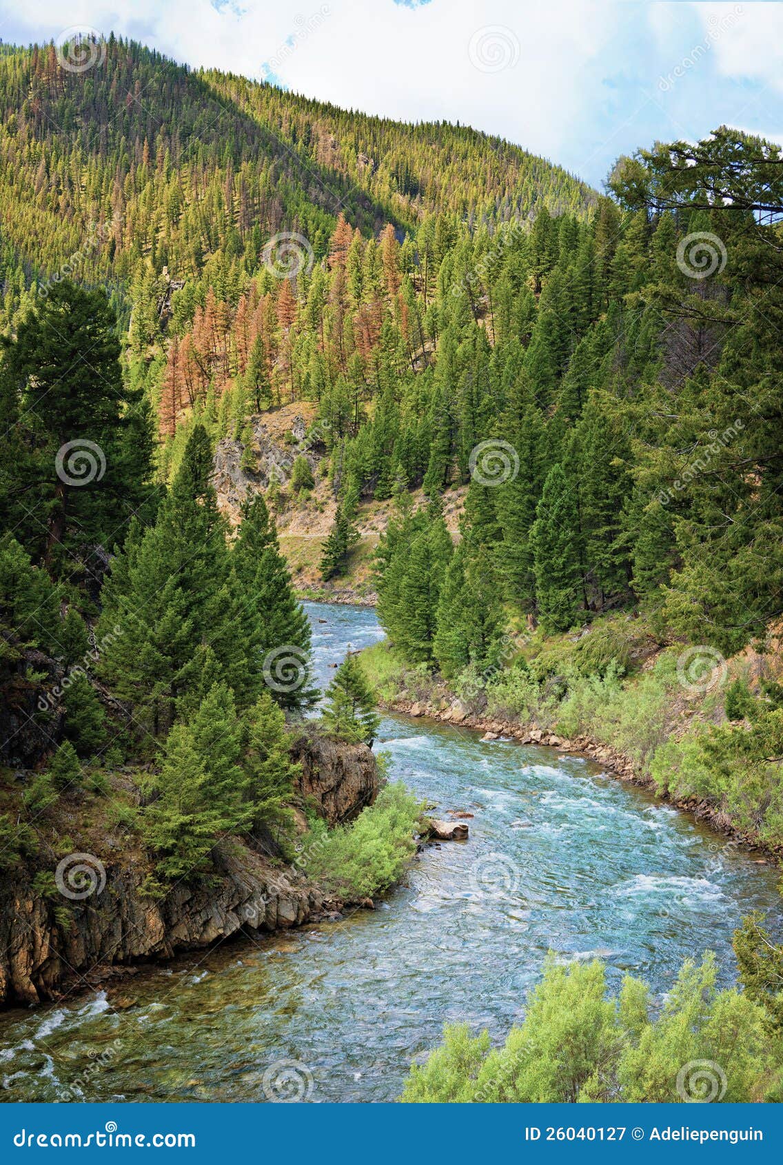 Salmon River, Idaho stock image. Image of pristine, salmon 26040127