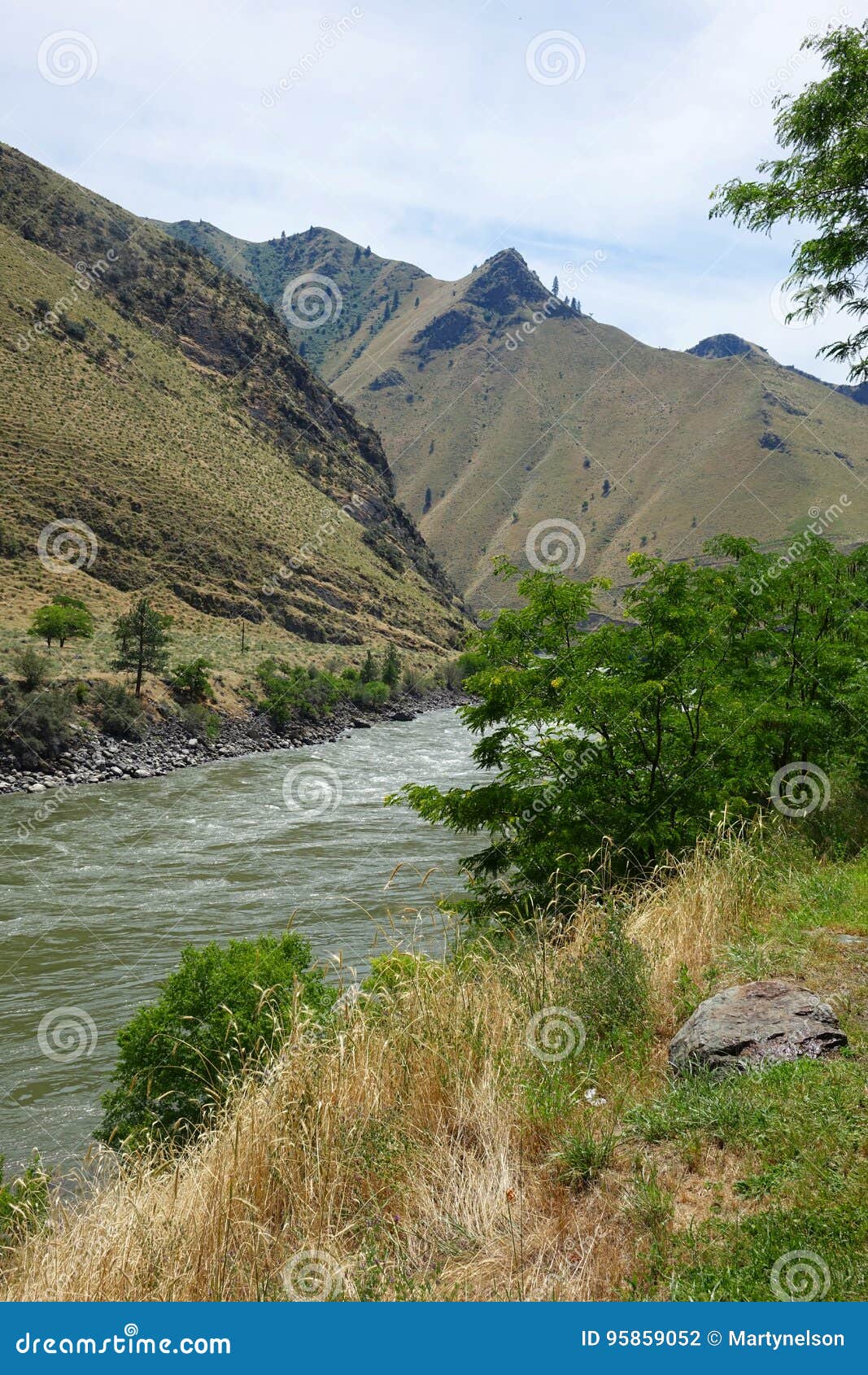 Salmon River a Riggins, Idaho Fotografia Stock Immagine di salmoni