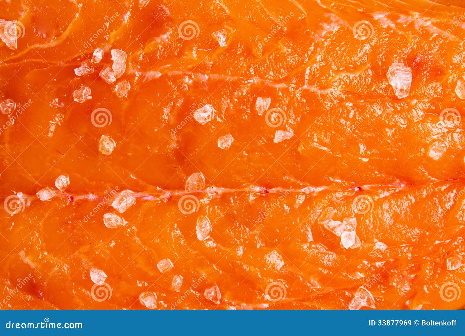 Salmon with sea salt stock image. Image of single, restaurant 33877969