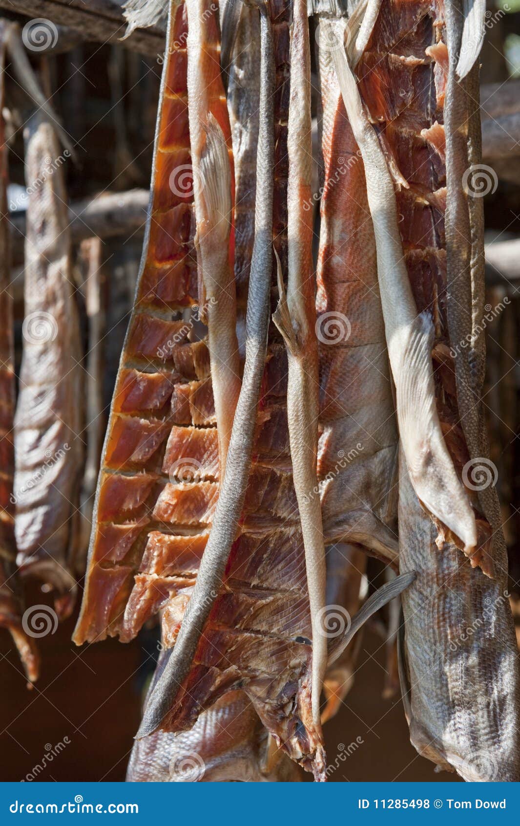 Salmon smoked and dried stock photo. Image of catch, natural 11285498