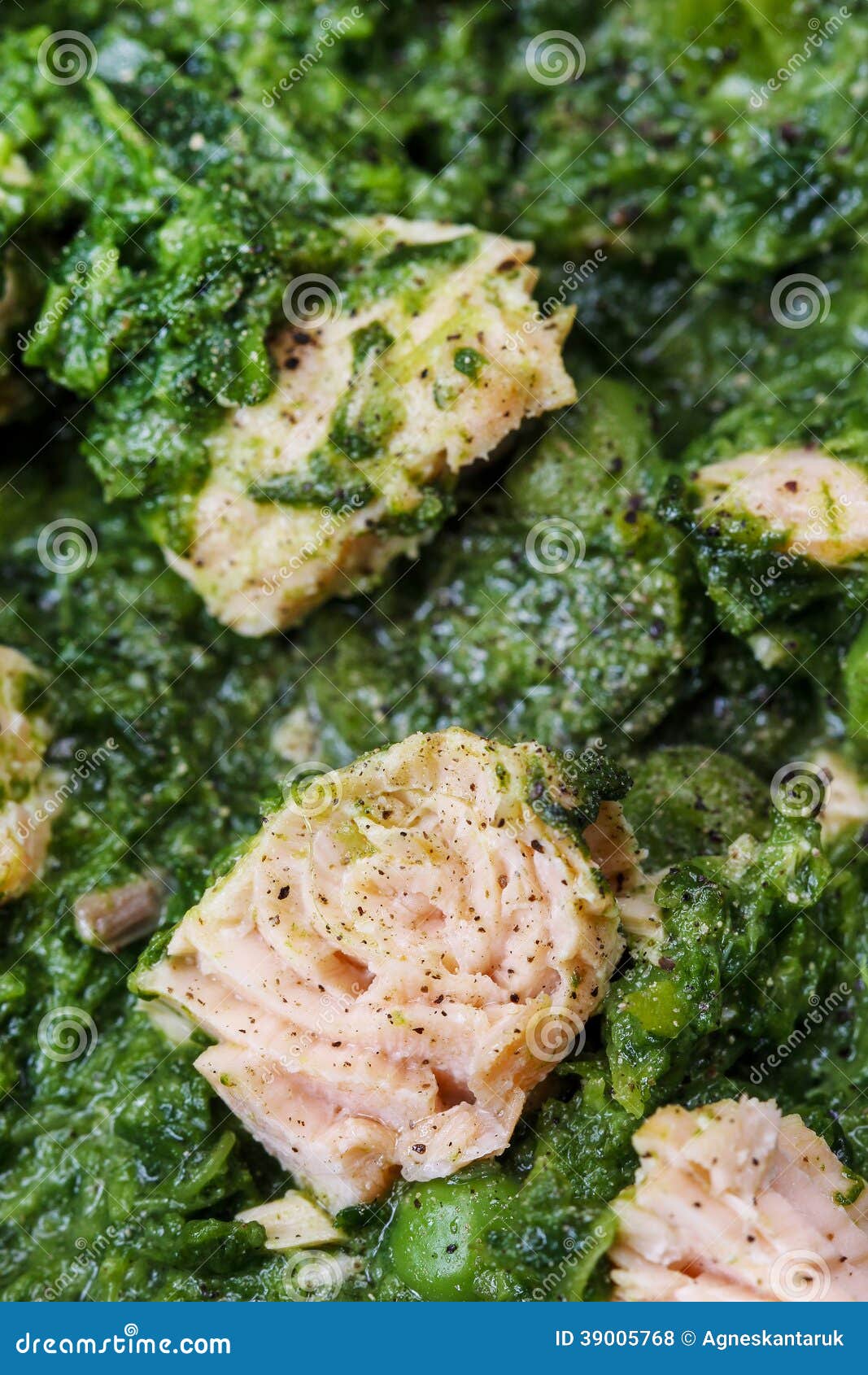 Salmon with spinach stock photo. Image of cookbook, fresh - 39005768