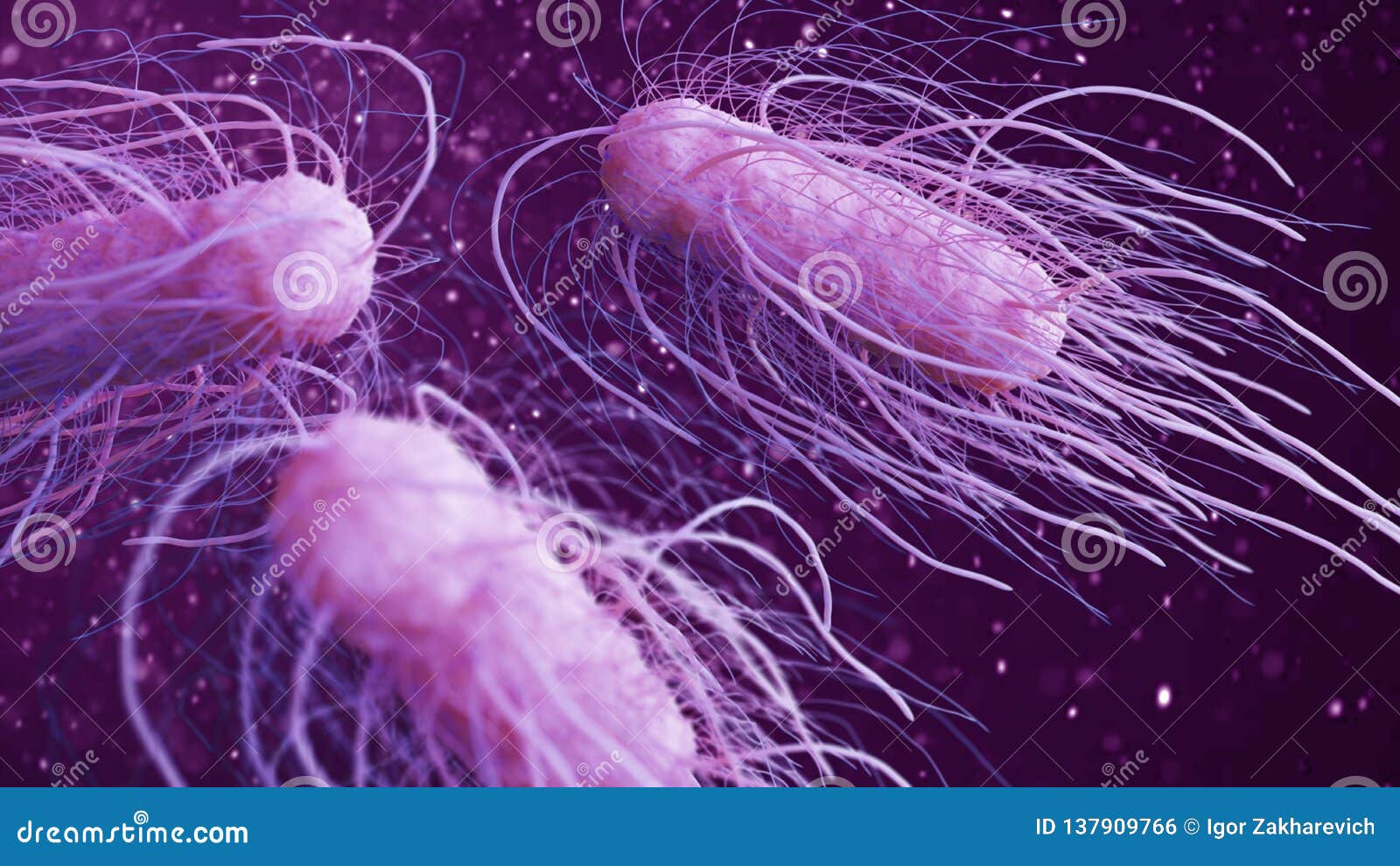 salmonella bacteria 3d 