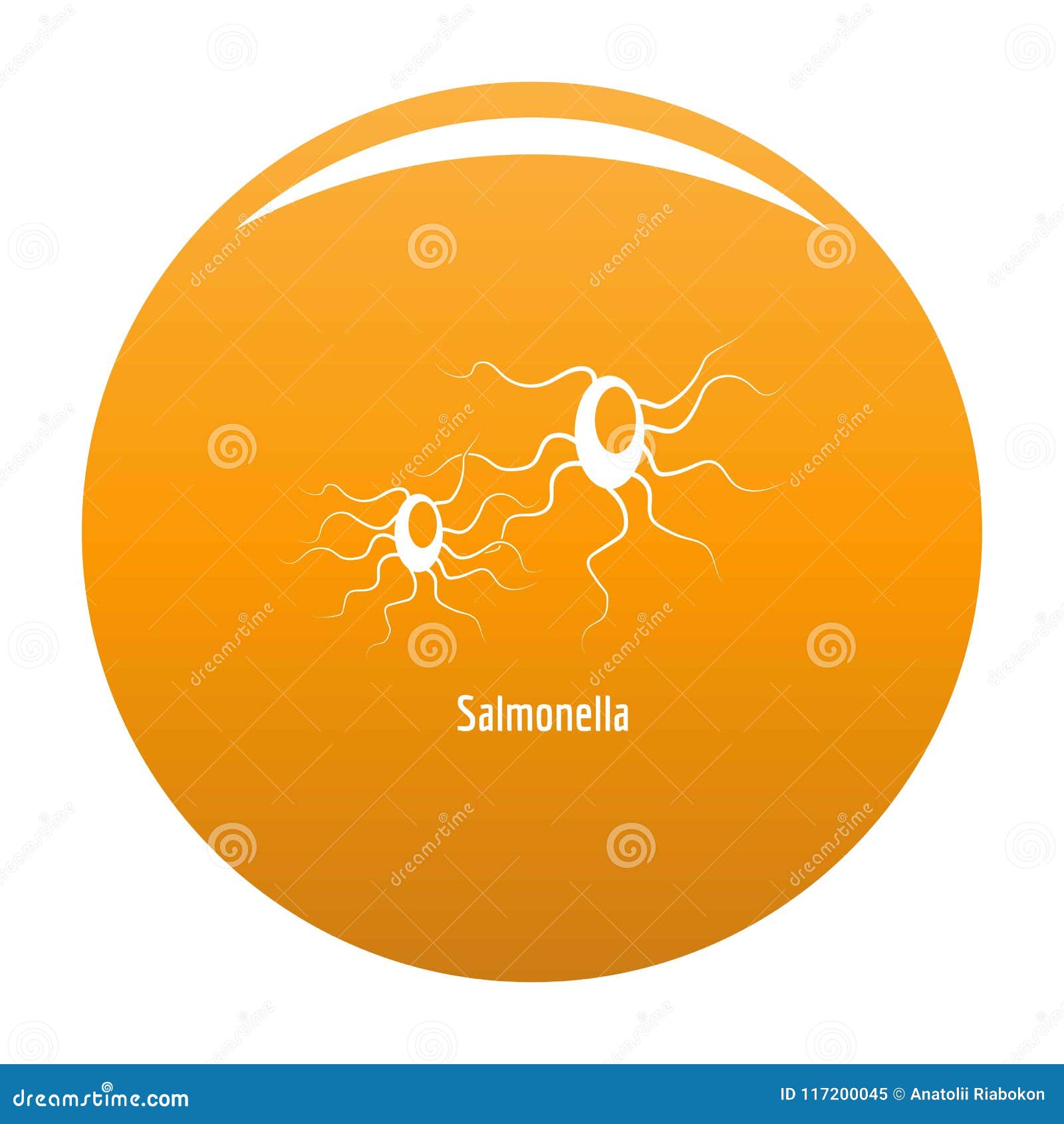 salmonella sketchy micro salmonella sketchy micro
