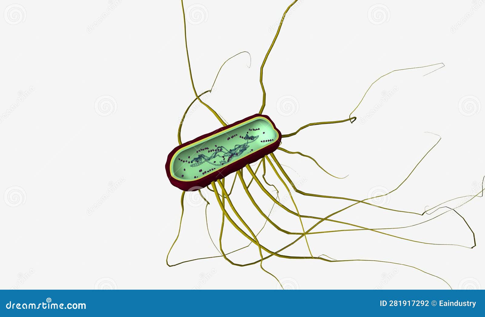 Salmonella is the Name of a Group of Bacteria Stock Illustration