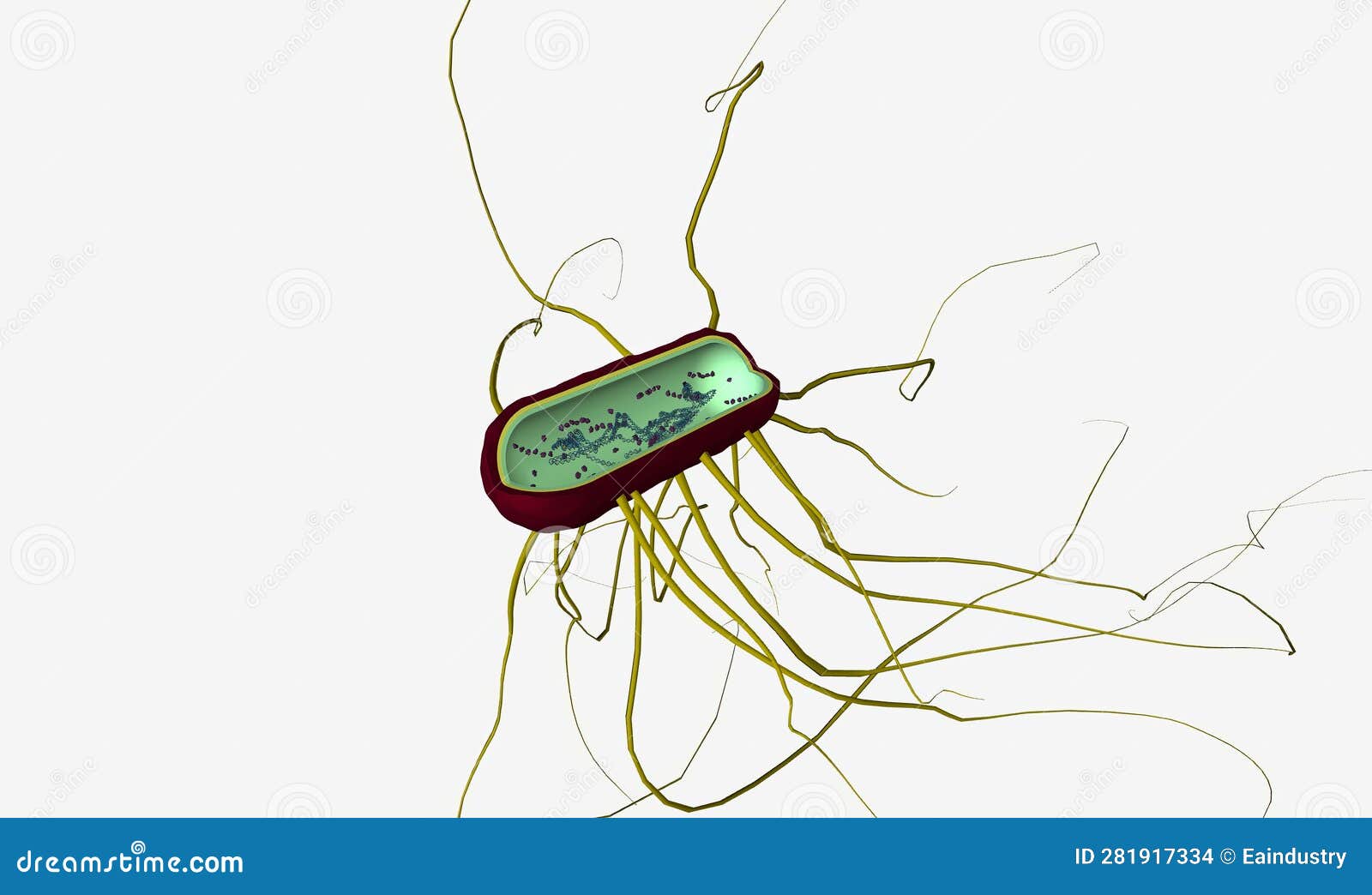 Salmonella is the Name of a Group of Bacteria Stock Illustration