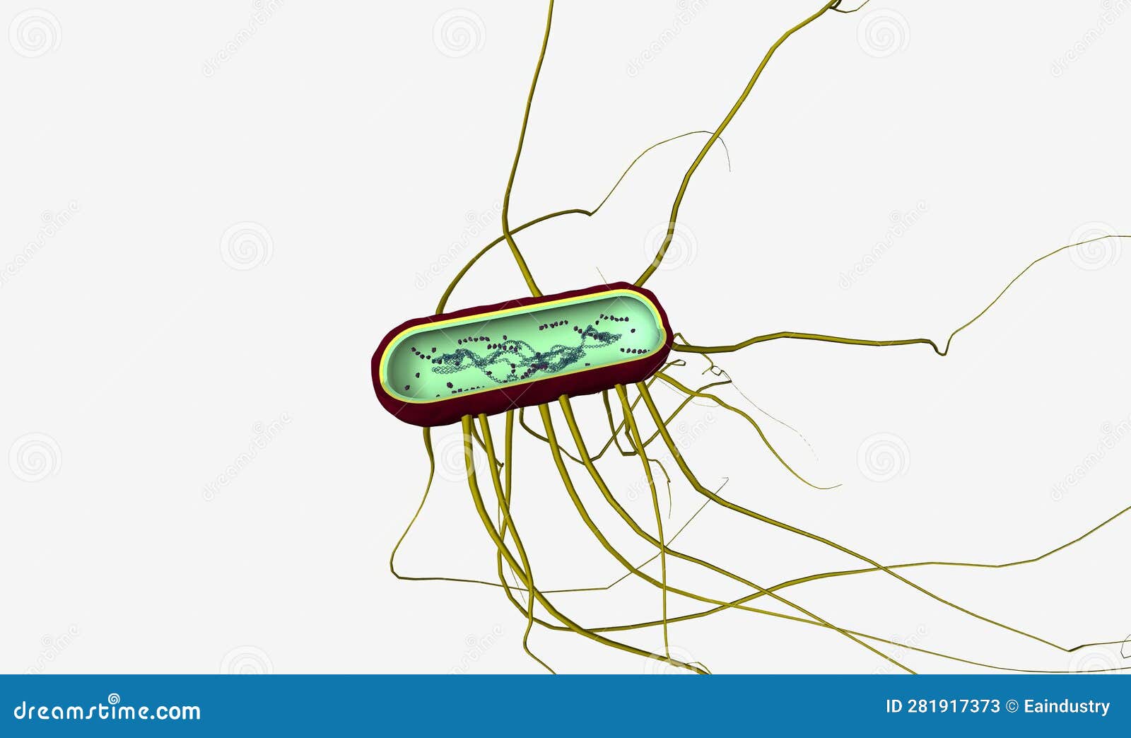 Salmonella is the Name of a Group of Bacteria Stock Illustration Illustration of organism