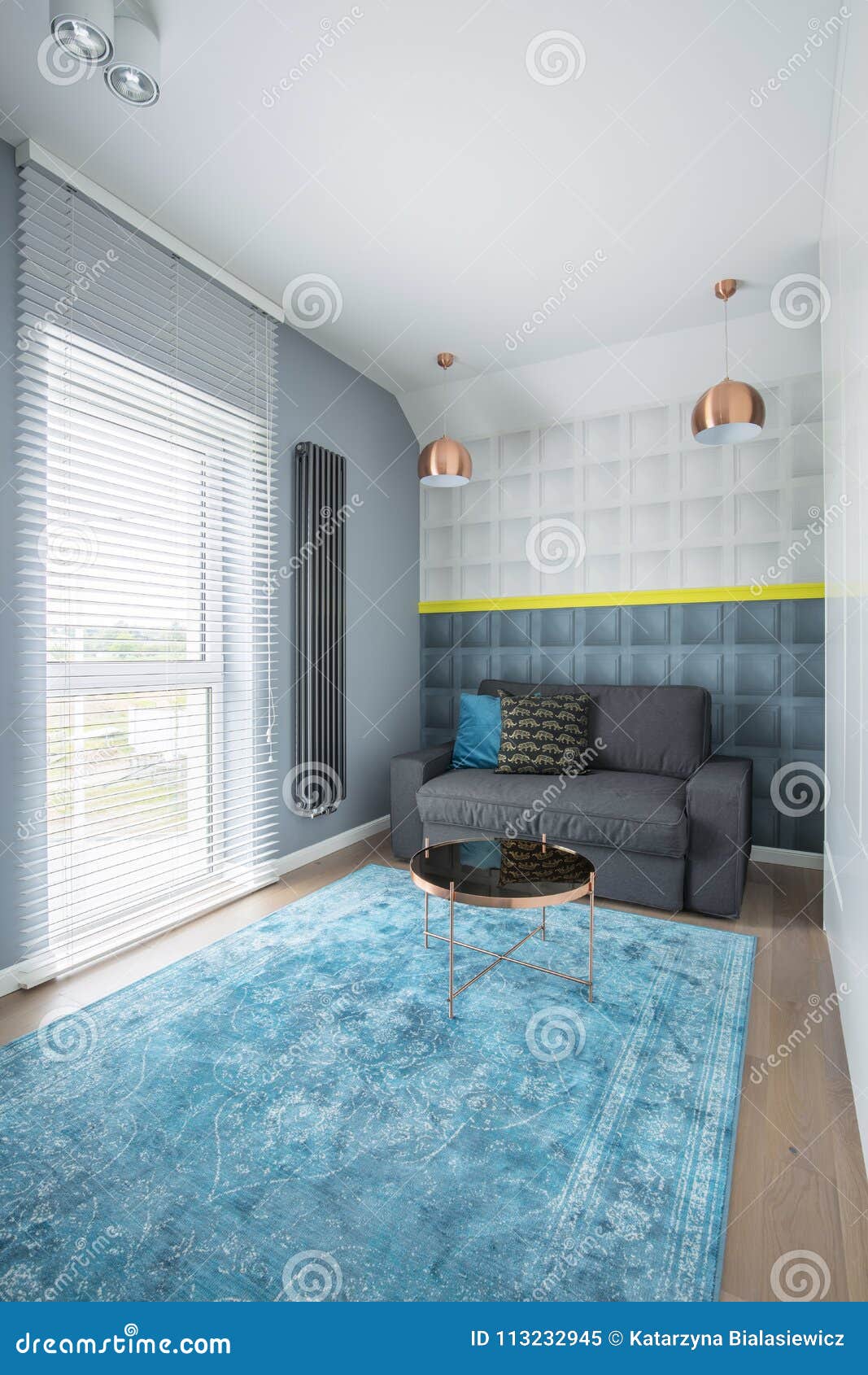 Scarica Gratis Images Salon Bleu Et Gris Image Stock Image Du Vivre Piece 113232945 le plus cool par