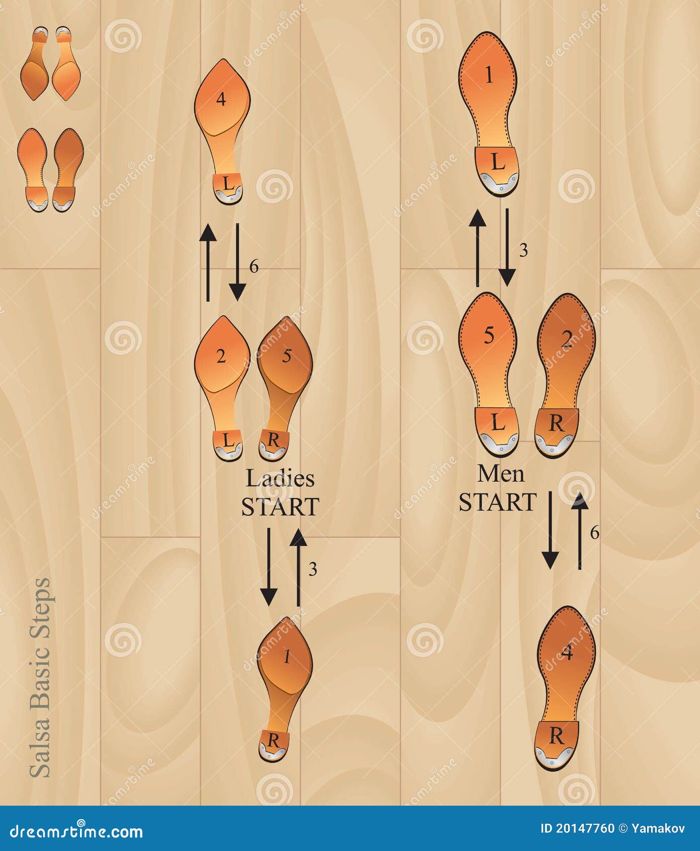 salsa basic steps