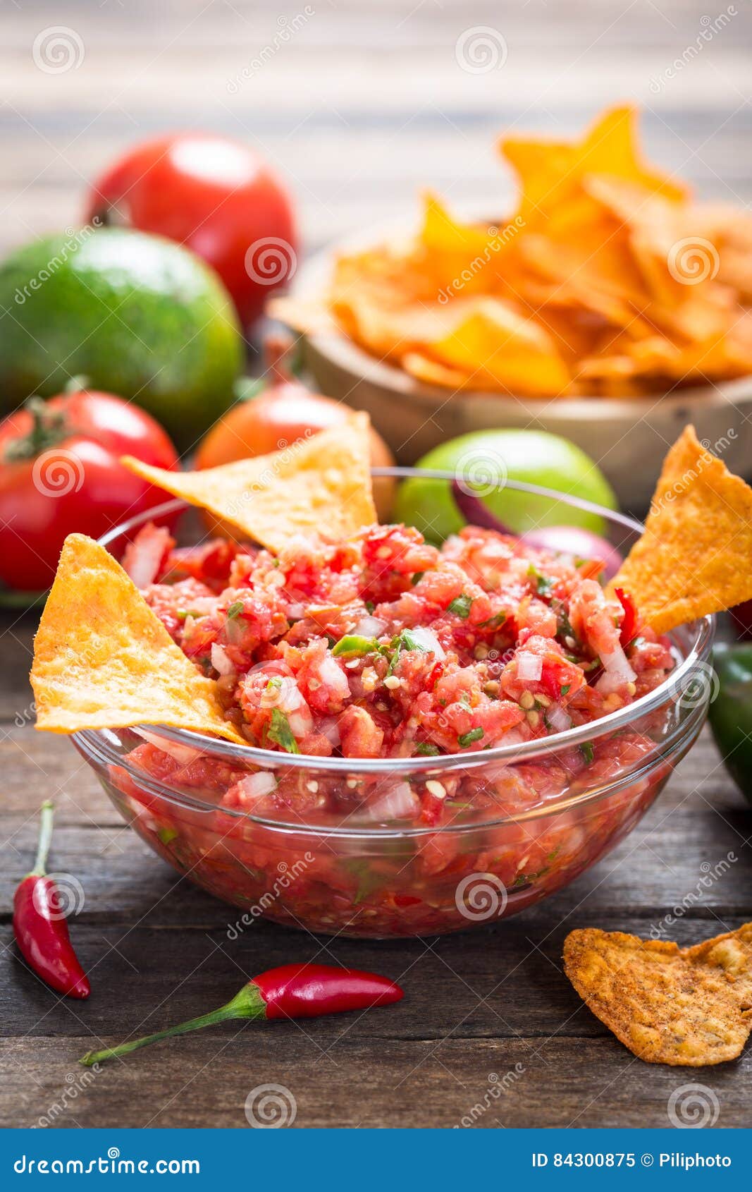 Salsa Dip with Tortilla Chip Stock Image Image of cilantro, fresh 84300875