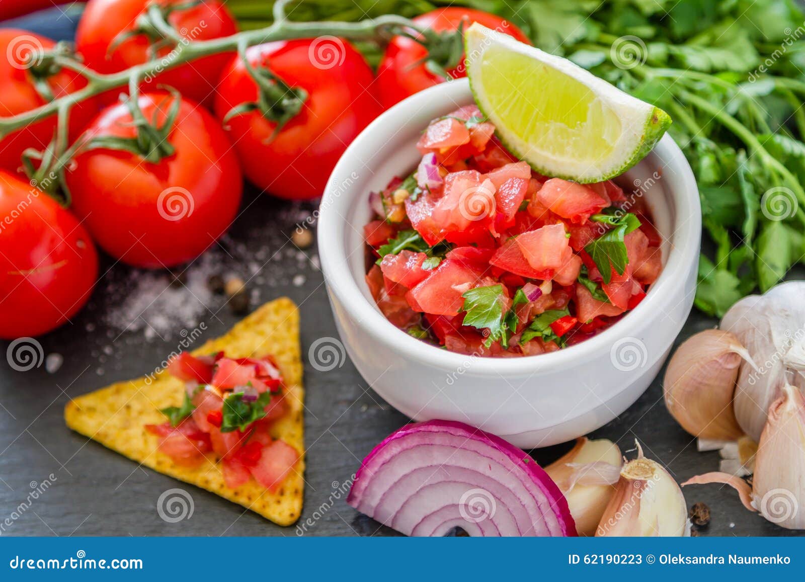 Salsa Sauce and Ingredients Stock Image Image of pepper, fresh 62190223