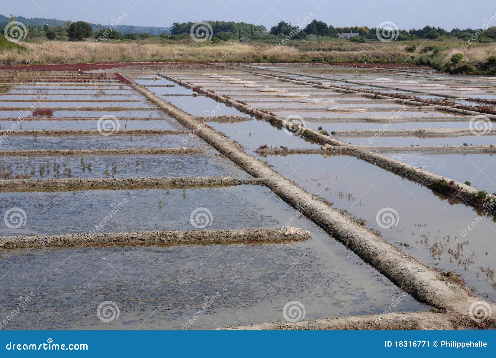Salt evaporation pond stock image. Image of salt, water 18316771