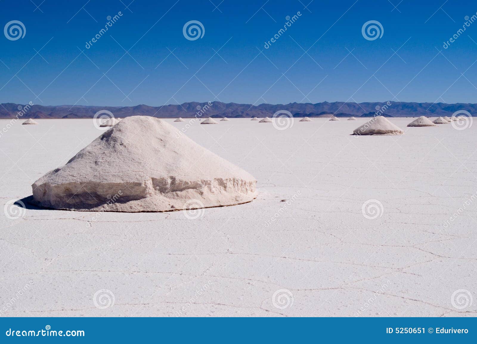 salt extraction, argentina