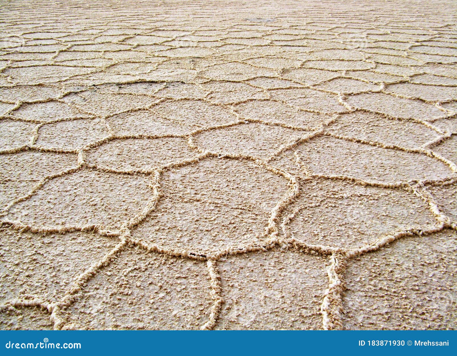 salt flat polygons in desert