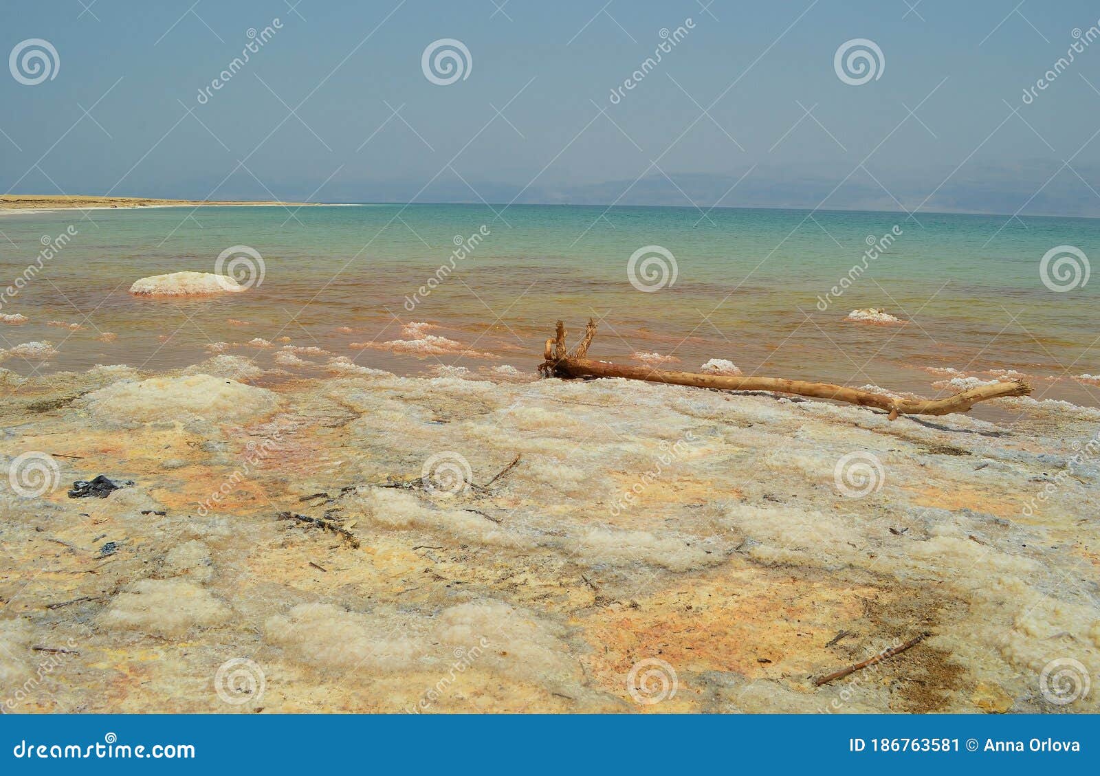 Salt Formations On The Shores Of The Dead Sea Stock Image Image Of