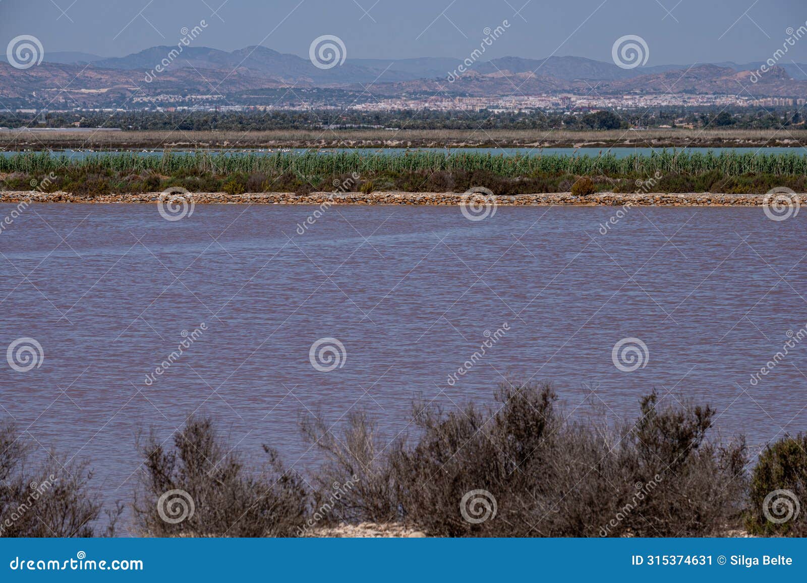 a salt lake with briny pink waters, foregrounded by shrubs, with distant mountains and clear skies.
