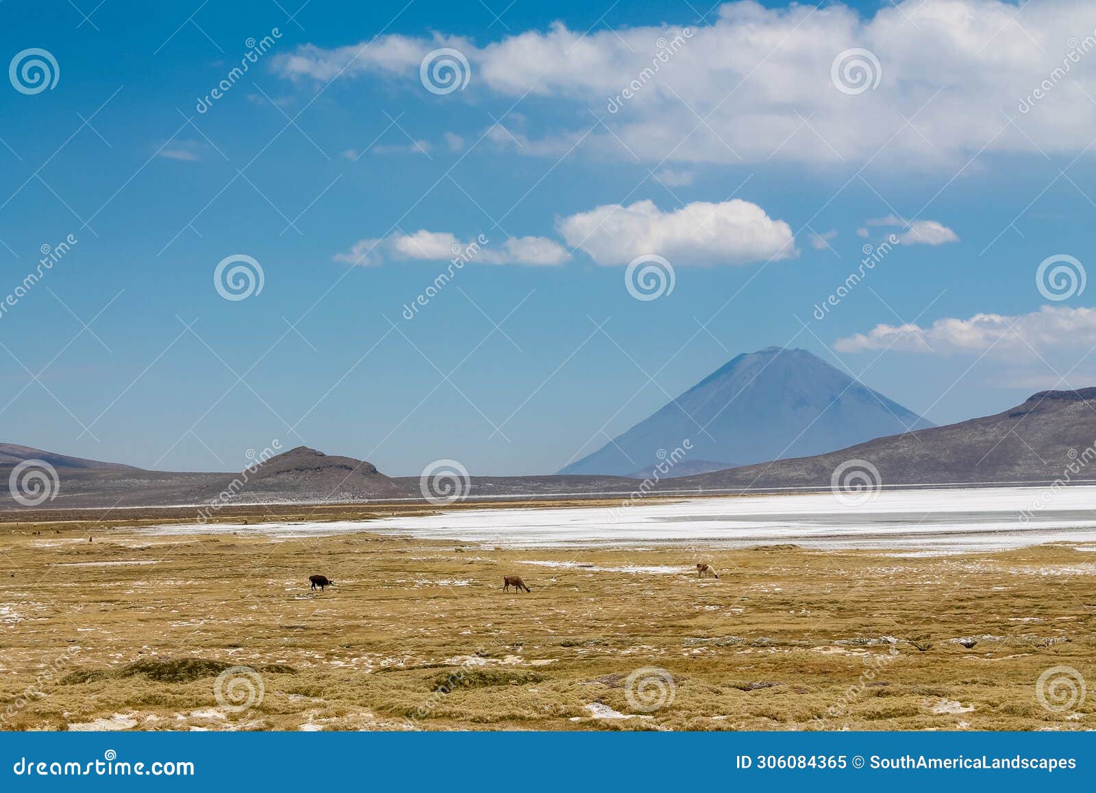 salar on south america altiplano, reserva natural de salinas y aguada blanca