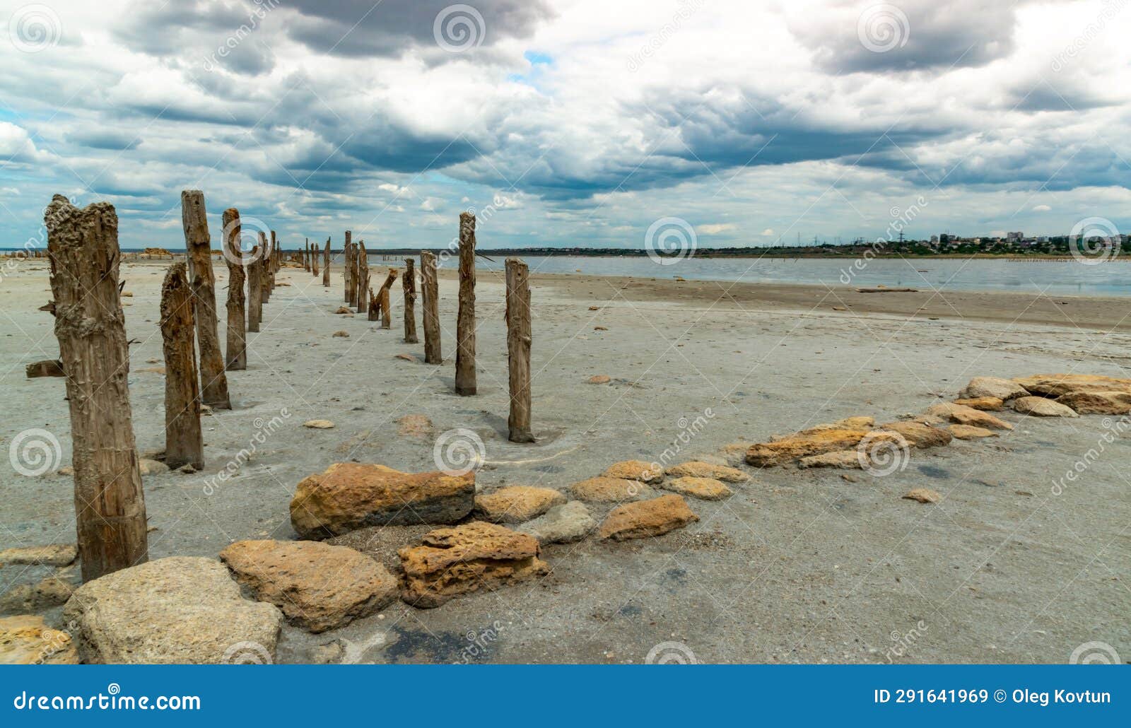 salt lake. self-settling salt on wooden logs. hypersaline water in a drying lake, an environmental problem. ukraine